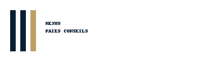 NEXUS PAIES CONSEILS logo
